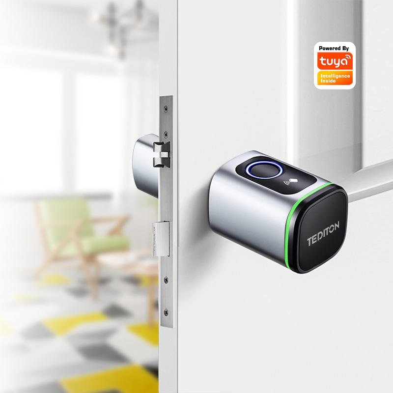 Airbnb Smart Home - Tuya Wifi Smart Zylinder Türschloss Biometrische