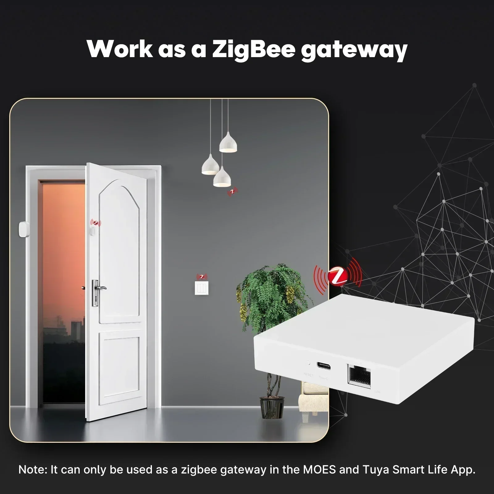 MOES Tuya Zigbee Matter Thread – Smart Home Website Bewertung und Preis