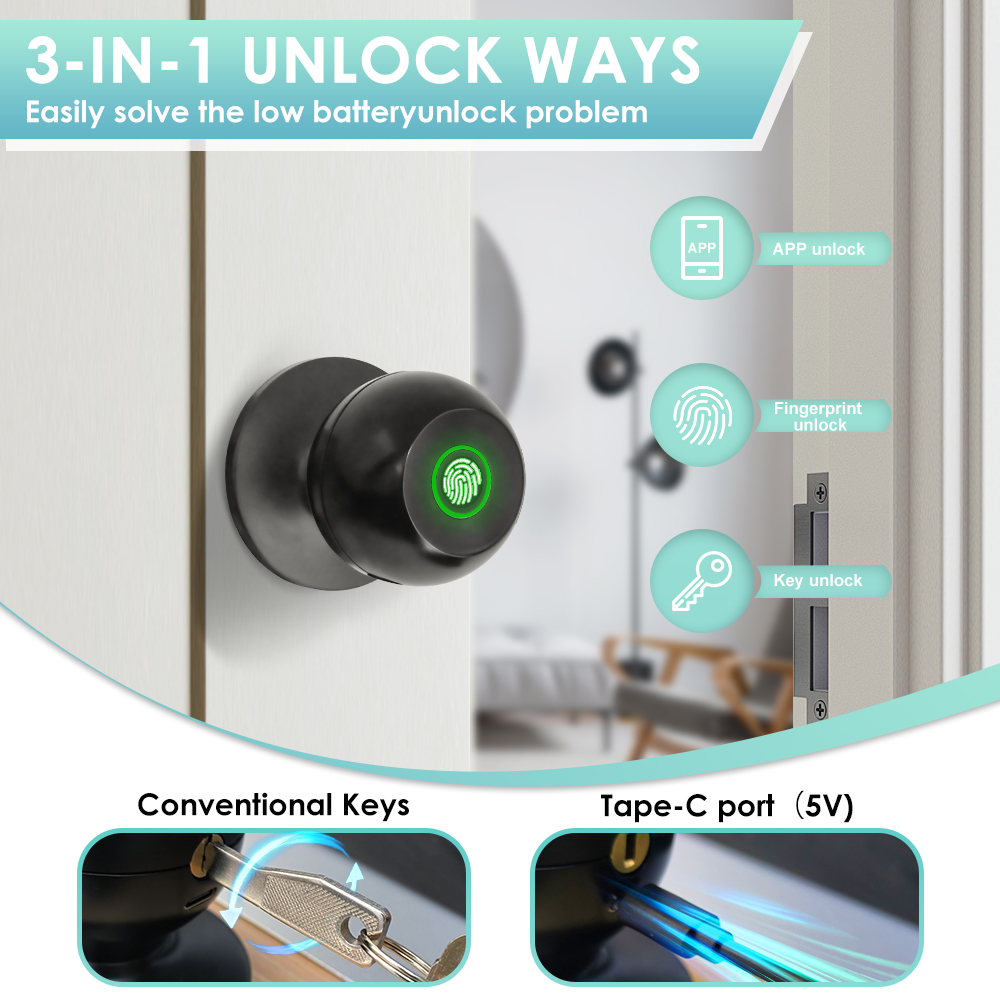 Tuya Elektronisches Türschloss – Smart Home Website Bewertung und Preis