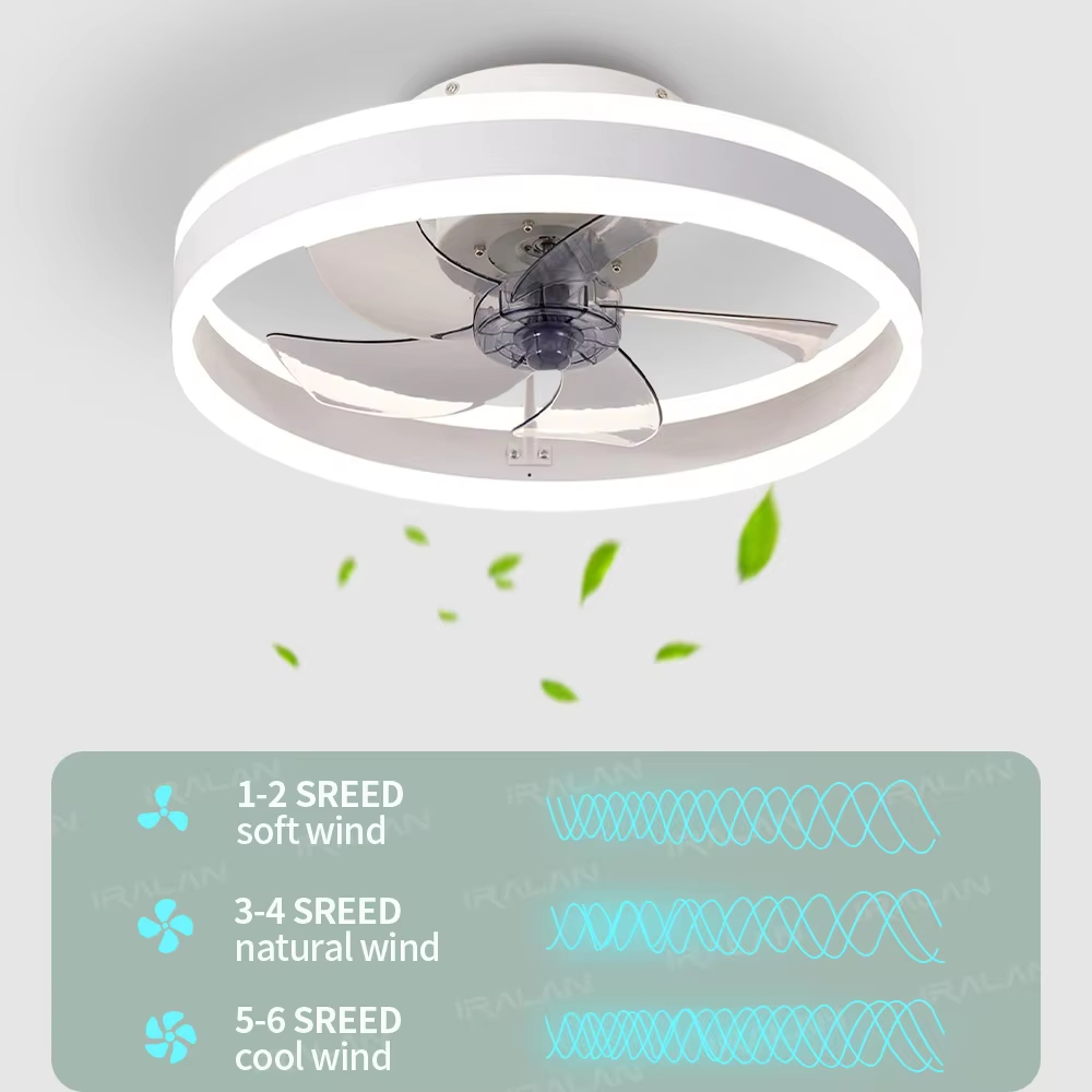Intelligenter Deckenventilator – Smart Ceiling Fan Bewertung und Preis