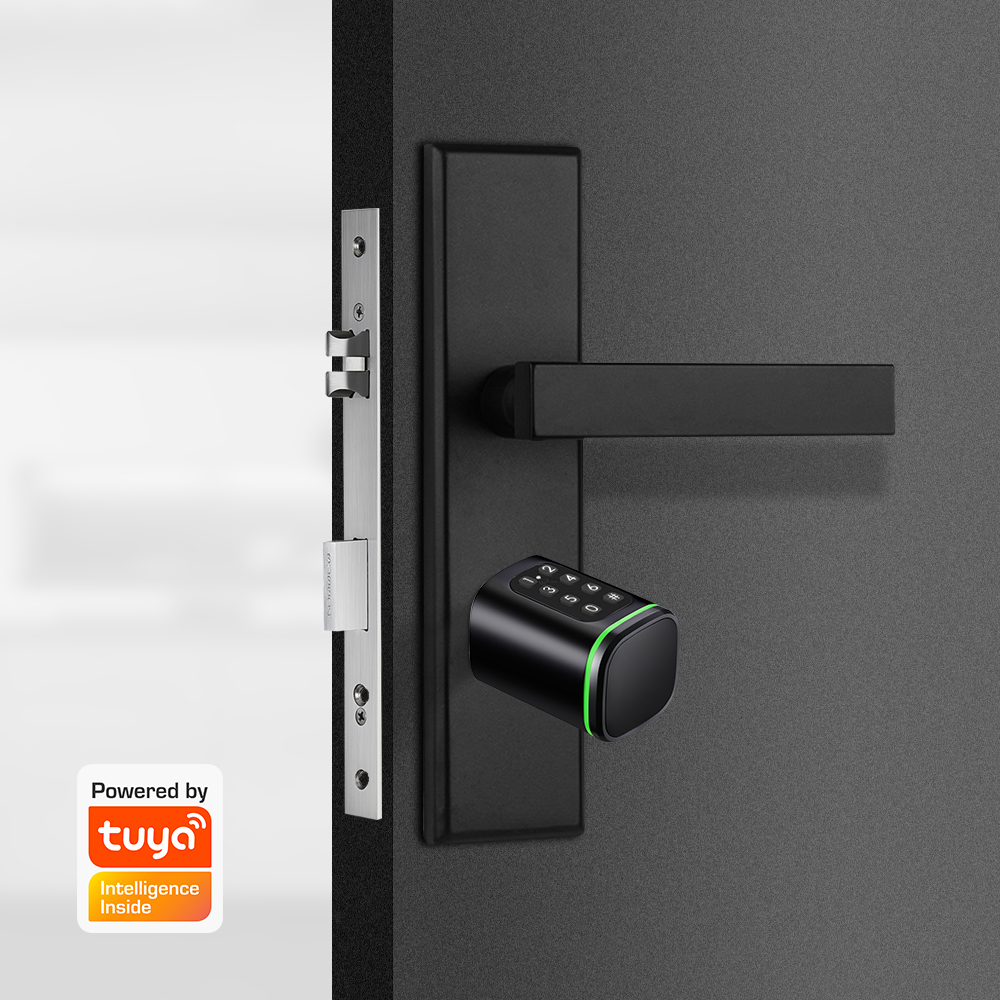 Smart Zylinder Schloss Tuya 60 – Smart Home Website Bewertung und Preis